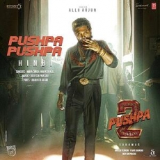 Pushpa Pushpa - Pushpa 2